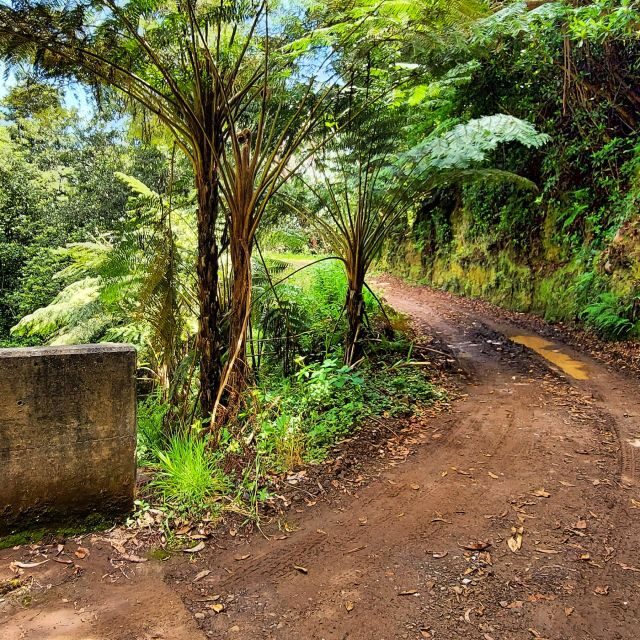 Funchal: Madeira Island 4x4 Private Customizable Tour - Key Highlights That Make This Tour Worth It