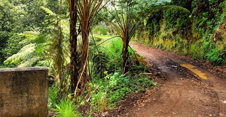 Funchal: Madeira Island 4x4 Private Customizable Tour - Off-Road Driving and the Open-Air Verdeck Experience