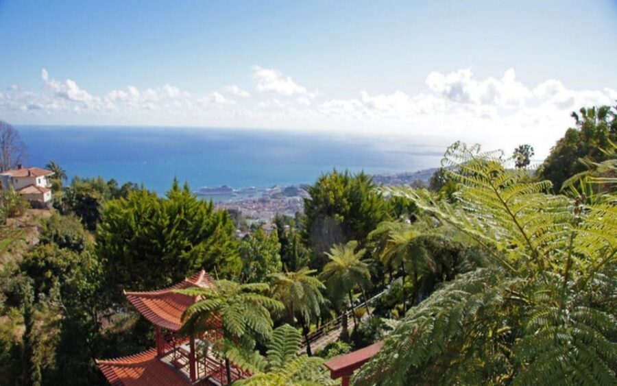 Funchal: Monte Palace Tropical Gardens Tuk Tuk Tour - Meeting Your Tuk-Tuk in Funchal and Getting the Lay of the Land