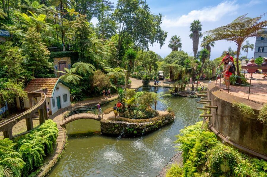 Funchal: Monte Palace Tropical Gardens Tuk Tuk Tour - The Uphill Ride: Viewpoints, Old Streets, and a Little Thrill