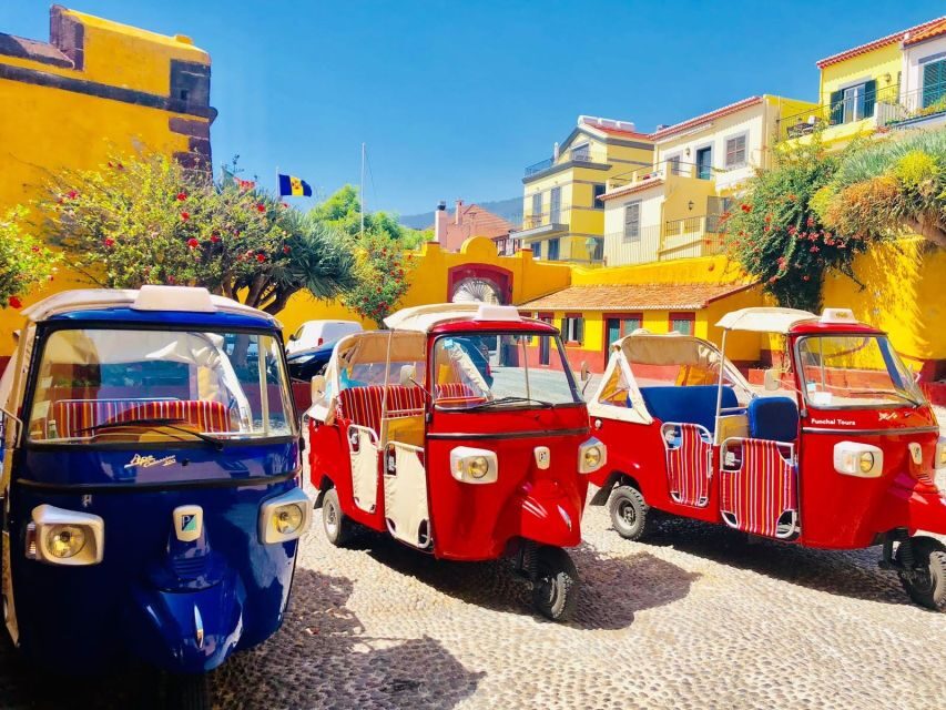 Funchal: Monte Toboggan and Old Town Tour by Tuk-Tuk - The Basket-Cart Descent: Classic Ride, Real Ticket Cost, and Queue Tips