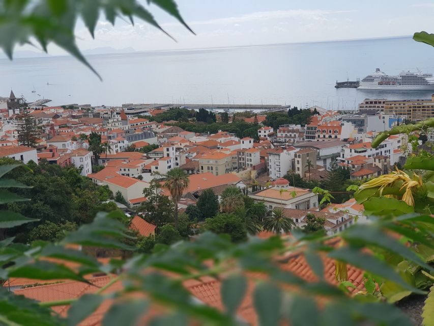 Funchal: Monte Toboggan and Old Town Tour by Tuk-Tuk - Price and Value: What 47 USD Really Covers (and What You’ll Add)