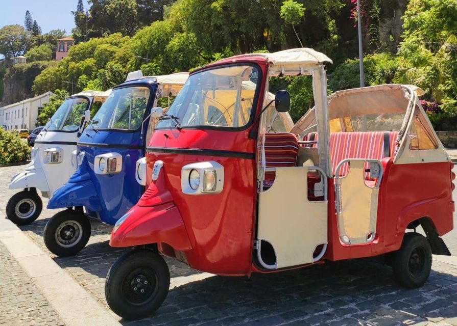 Funchal: Monte Toboggan and Old Town Tour by Tuk-Tuk - Who This Tour Is Best For (and When to Choose Something Else)