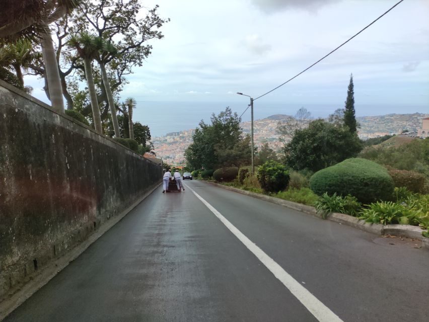 Funchal: Monte Toboggan and Old Town Tour by Tuk-Tuk - Getting Started in Funchal: Pickup, Old Town Pass-By, and the Market Feel