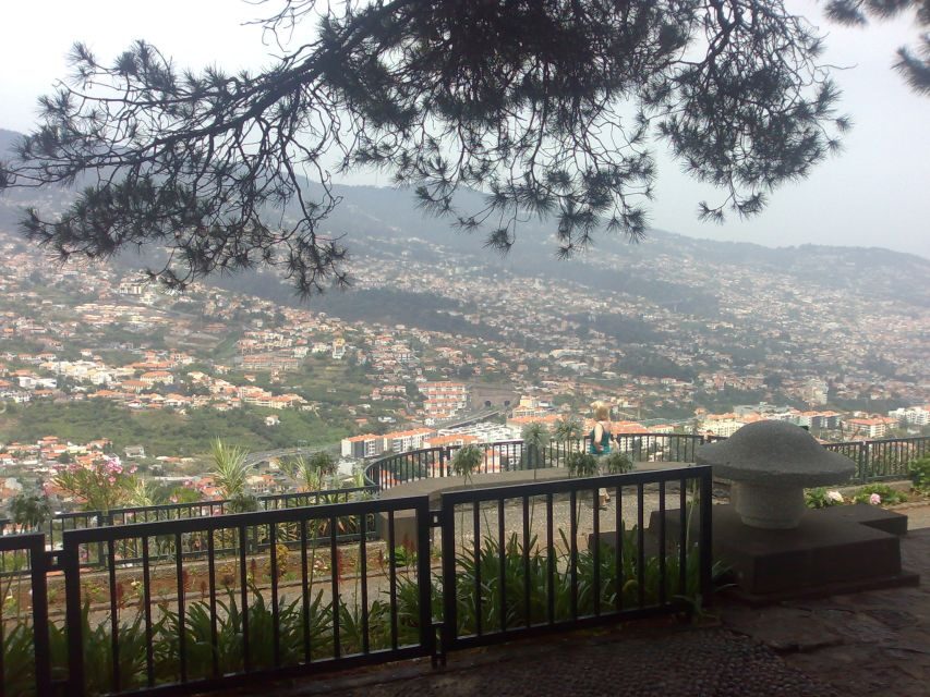 Funchal: Nuns Valley Half Day Tour - Pico dos Barcelos viewpoints: what to look for (and what to ignore)