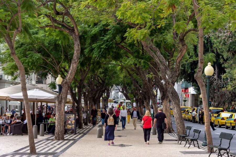 Funchal: Old Town Walking Tour - Starting at the Colégio dos Jesuítas: where the story begins