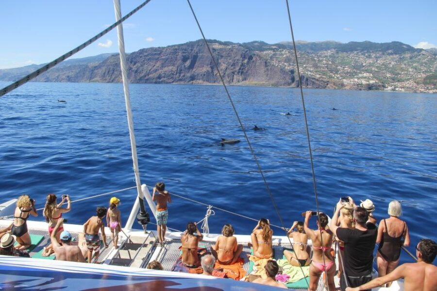 Funchal: Pico Arieiro, Cristo Rei and Dolphins Watching - Cristo Rei: a viewpoint break with a story behind it