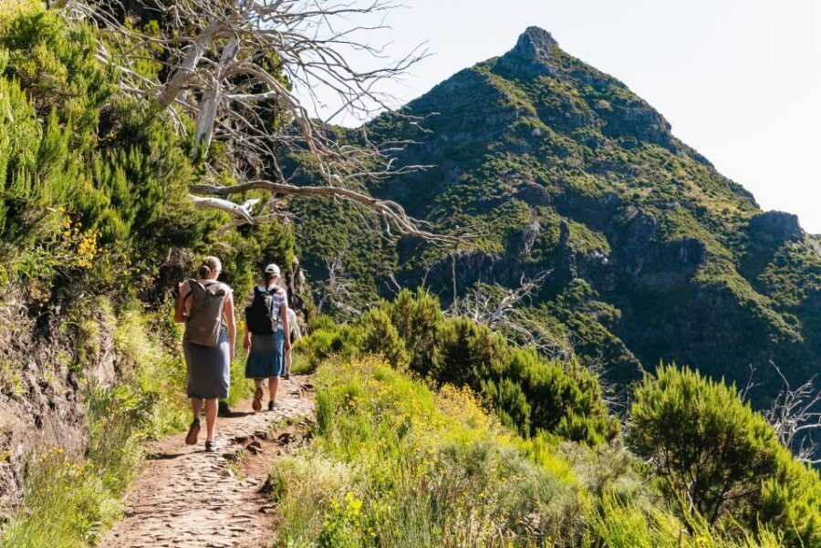 Funchal: Pico do Arieiro Sunrise Transfer Self-guided Hike - From Funchal to Pico do Arieiro: the van ride that saves your morning