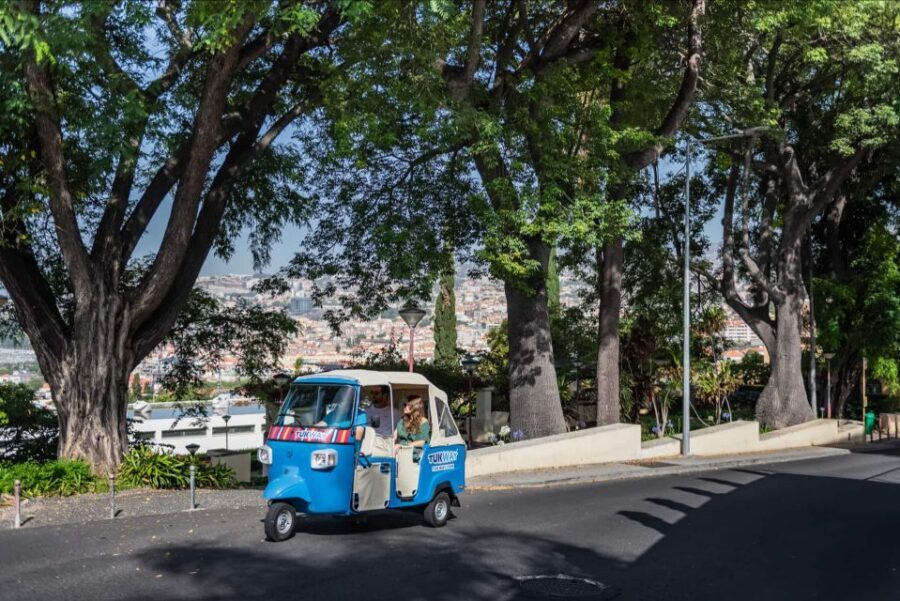 Funchal: Private Customizable Guided Tour by Tuk-Tuk - Monte Toboggans: the most famous stop in the mix