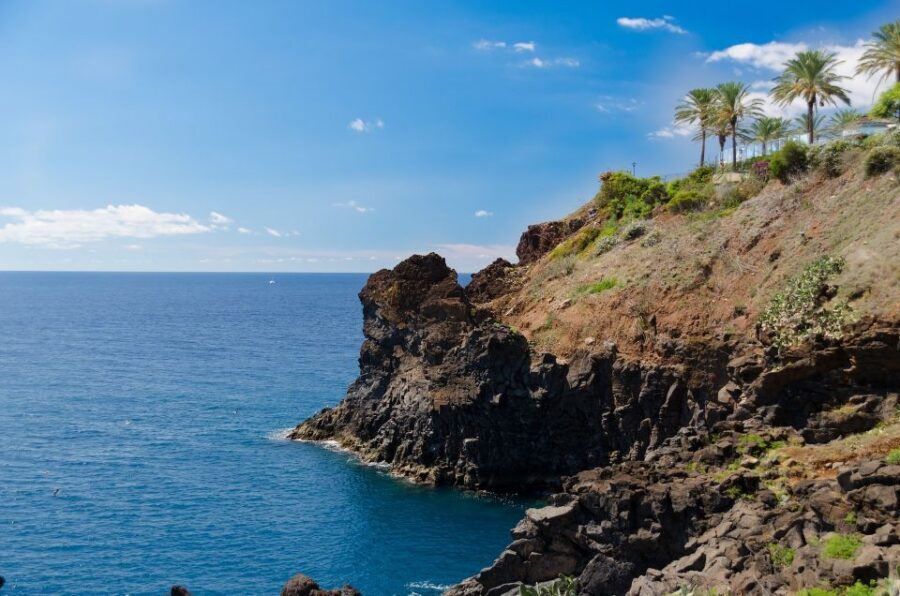 Funchal: Private Tour with a Local Guide - Key things you’ll notice on this private Funchal tour