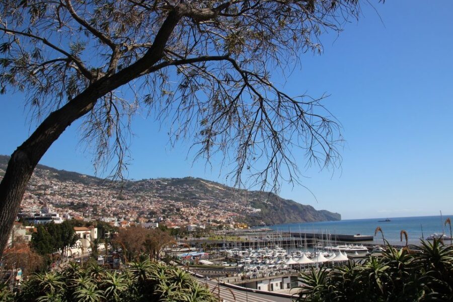 Funchal: Private Tour with a Local Guide - Why a private walking tour works so well in Funchal