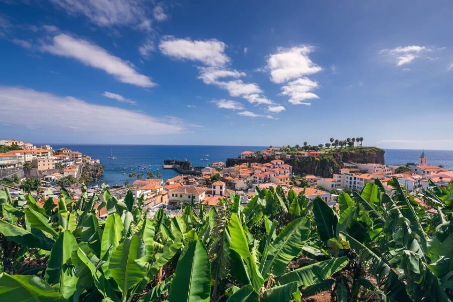 Funchal: Private Tuk-Tuk Tour to Cabo Girão Cliff - Skywalk - Practical tips that keep the tour smooth