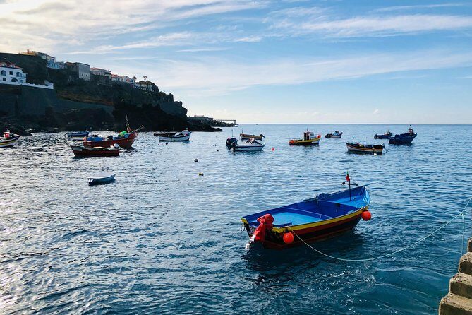 Funchal Private Vehicle Service with Driver for a Half Day or Full Day - Flexible Madeira Driving: Your Stops, Your Pace