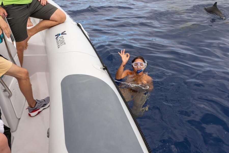 Funchal: RIB Whale Watching Cruise and Optional Dolphin Swim - What You Might See: Dolphins, Whales, and Sometimes Turtles