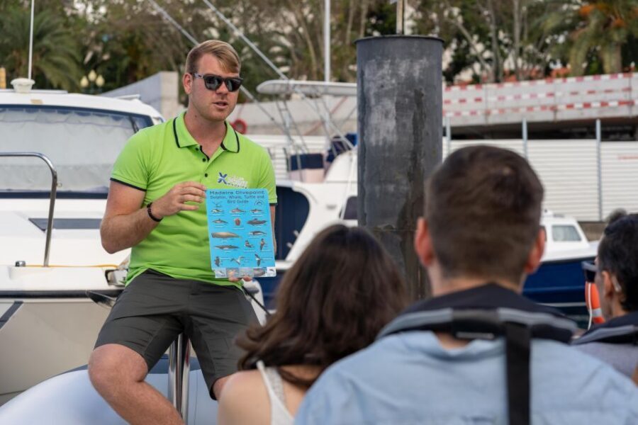 Funchal: RIB Whale Watching Cruise and Optional Dolphin Swim - Crew Style and Animal Welfare: Small Details That Build Trust