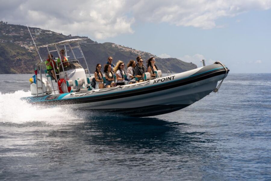 Funchal: RIB Whale Watching Cruise and Optional Dolphin Swim - The 2.5-Hour Sea Plan: From Harbor Briefing to Open Ocean Search