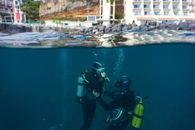 Funchal: Scuba Diving Experience for Beginners - Equipment, cleanliness, and the comfort stuff people forget