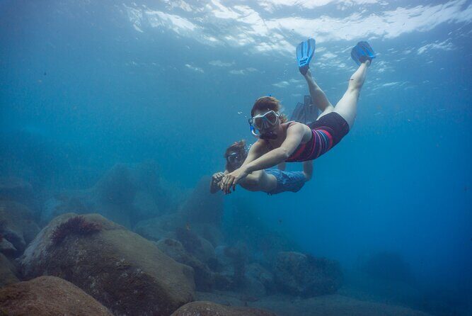 Funchal: Snorkeling Adventure in Eco-Park / Shore or by Boat - Key Highlights That Matter