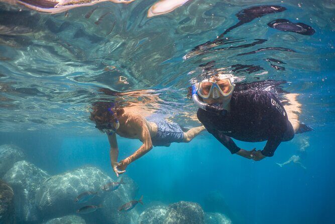 Funchal: Snorkeling Adventure in Eco-Park / Shore or by Boat - Entering Madeira’s Marine Eco Park at Sea Level