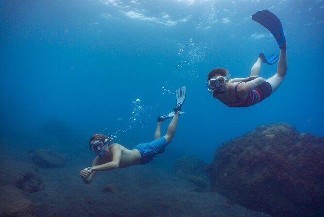 Funchal: Snorkeling Adventure in Eco-Park / Shore or by Boat - Gear, Briefing, and the Snorkeling Lesson That Builds Confidence