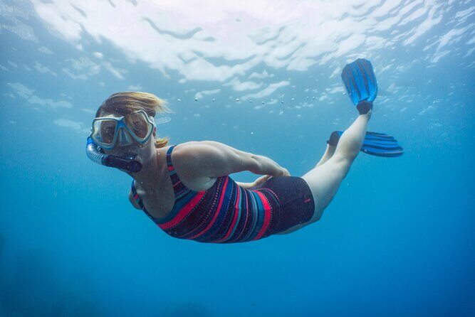Funchal: Snorkeling Adventure in Eco-Park / Shore or by Boat - Timing and Pacing in a 2-Hour Adventure