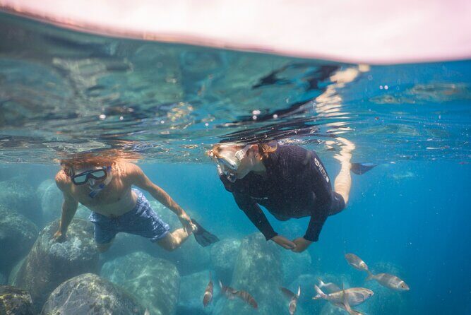 Funchal: Snorkeling Adventure in Eco-Park / Shore or by Boat - Value: Why This Snorkeling Costs $17 (and What You Still Pay For)