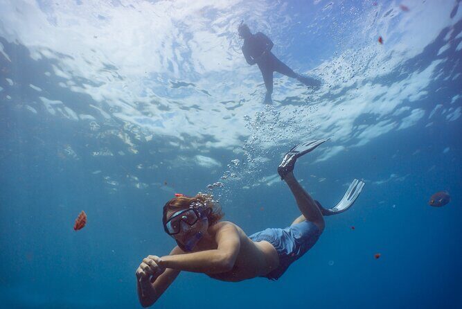 Funchal: Snorkeling Adventure in Eco-Park / Shore or by Boat - Two Options: House-Reef Self-Guided or Protected Reserve Boat Snorkeling