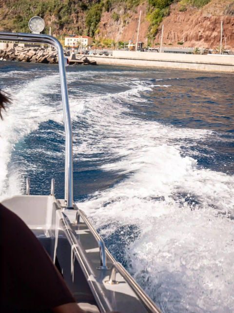 Funchal: Speedboat SEE THE ISLAND AND LIFE AT SEA - Wildlife viewing that can steal the show: dolphins, pilot whales, and real closeness