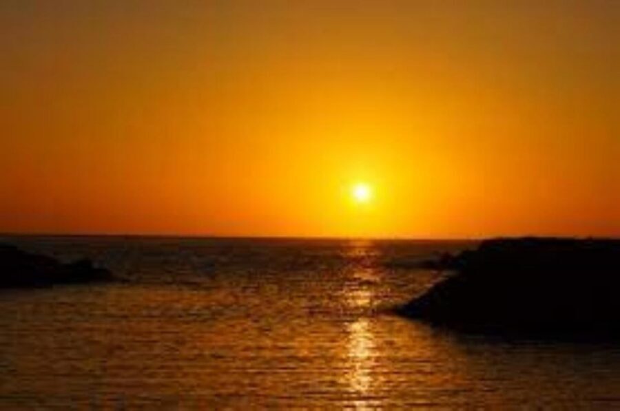 Funchal: Speedboat SEE THE ISLAND AND LIFE AT SEA - The value call: $41 for 2.5 hours, and what makes it worth it