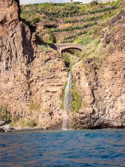 Funchal: Speedboat SEE THE ISLAND AND LIFE AT SEA - Who should book this speedboat, and who should pass