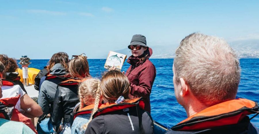 Funchal: Whale and Dolphin Watching Speed Boat Tour - Pier 8 in Funchal: meeting Ventura Nature Emotions fast