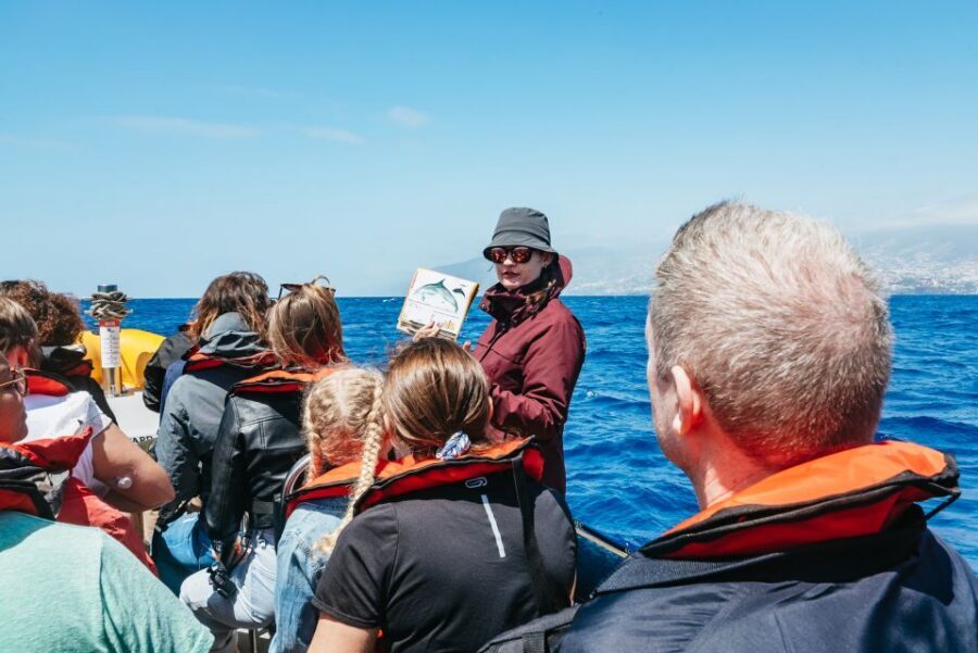 Funchal: Whale and Dolphin Watching Speed Boat Tour - 2.5 hours on the water: how the scan-and-learn routine works