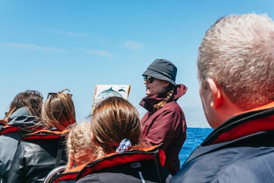 Funchal: Whale and Dolphin Watching Speed Boat Tour - The biologist + spotter system: why you often see 1 to 4 species