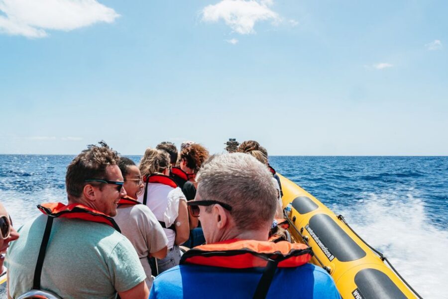 Funchal: Whale and Dolphin Watching Speed Boat Tour - Who this tour fits (and who should skip it)