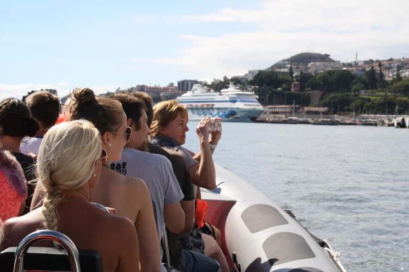 Funchal: Whale Watching and Swimming with Dolphins Cruise - Entering The Day in Funchal: What This Cruise Is Really About