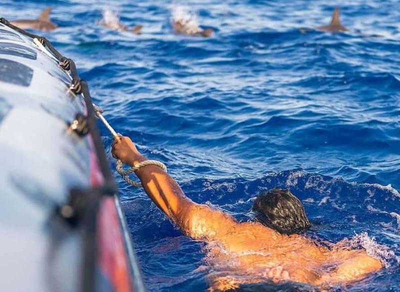 Funchal: Whale Watching and Swimming with Dolphins Cruise - Getting There: Rota dos Cetáceos and Store 35