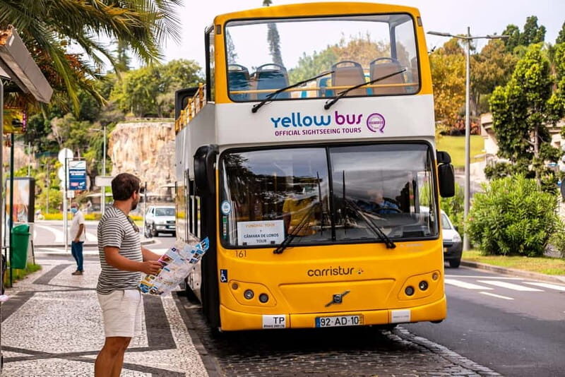 Funchal:Hop-on Hop-off Bus & Whale & Dolphin boat Excursion - Hop-on Hop-off Bus: Your 48 Hours Through Funchal