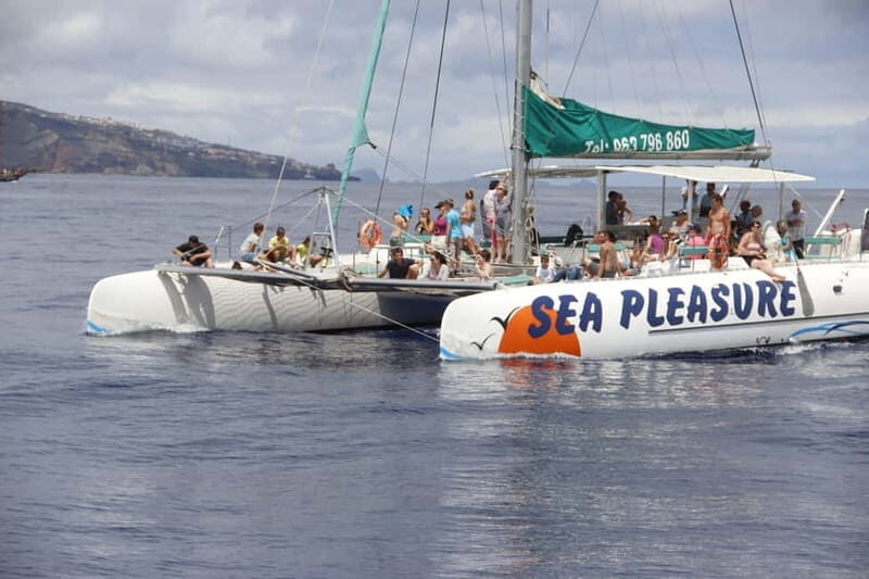 Funchal:Hop-on Hop-off Bus & Whale & Dolphin boat Excursion - Câmara de Lobos: The South and North Routes You’ll Want to Compare
