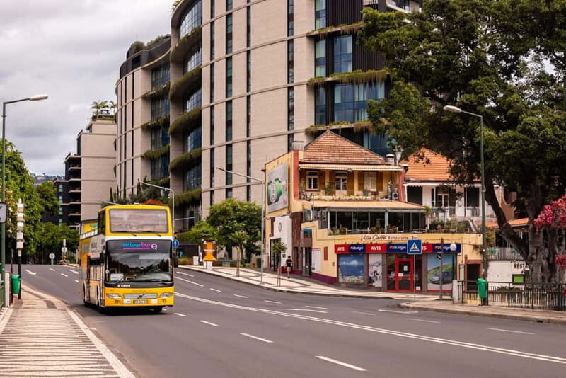 Funchal:Hop-on Hop-off Bus & Whale & Dolphin boat Excursion - The Fajã do Cabo Girão Swim and Snorkel Break