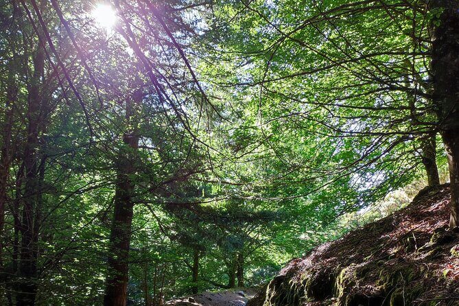 Gastro hike (Private Tour) - The 3.5 km vs 5.5 km Choice (and Why It Matters)