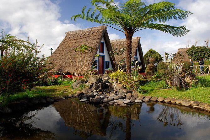 Go East Tour - Madeira Island Excursion - Price and logistics: what $47.07 buys you in Madeira
