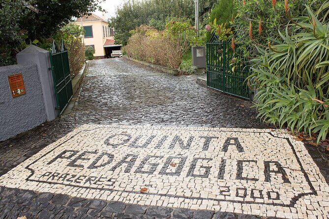 Go South Tour - Madeira Island Excursion - Where pickup actually happens in Funchal (and why it matters)