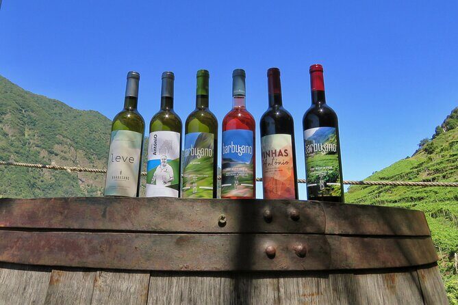 Guided 4x4 Adventure and Skywalk with Wine and Tapas in Madeira - Key Highlights You’ll Care About