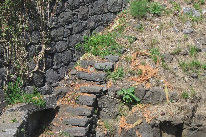 Half day jeep Wine tour and tasting, & sea cliff adventure - Ribeira Brava, Meia Légua, and Serra de Água: terraced farming in motion
