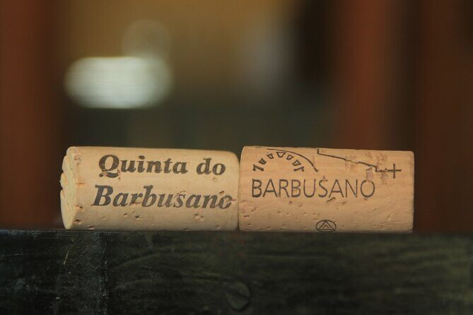 Half day jeep Wine tour and tasting, & sea cliff adventure - São Vicente and the way the day strings together