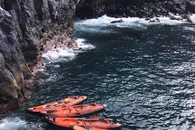 Half day kayak tours - The 40-minute kayak paddle: a calm start, then real coastal views