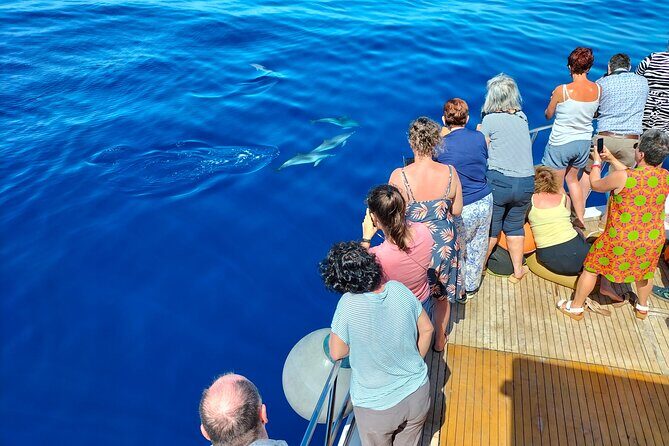 Half Day Madeira Island Cruise with Lunch - Potential Downsides: When the Day Feels Longer Than You Expect