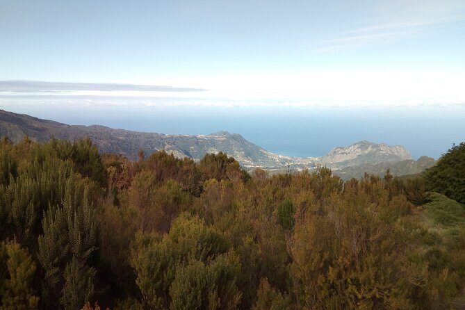Half-Day Private Sidecar Tour on Madeira’s West Coast - When weather and road closures change the day