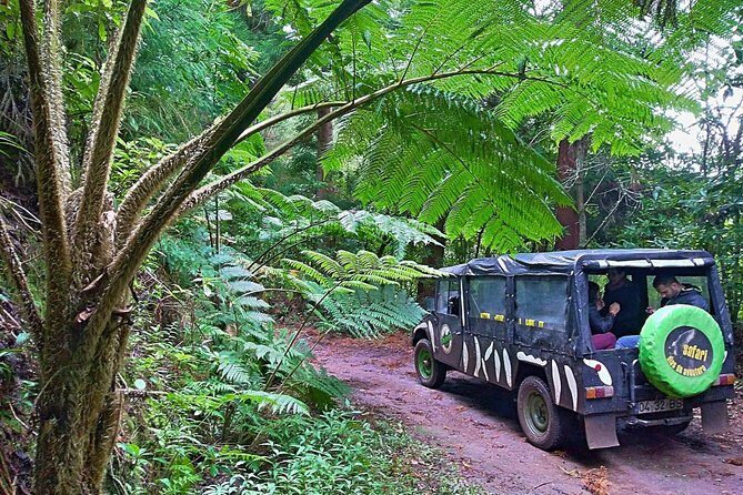 Half-Day Small-Group Madeira Village Safari from Funchal - Key things to notice before you go