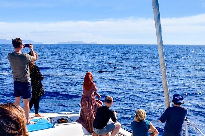 Half Day Tour on a Luxury Catamaran on Madeira Island - The crew vibe: friendly, sometimes very hands-on